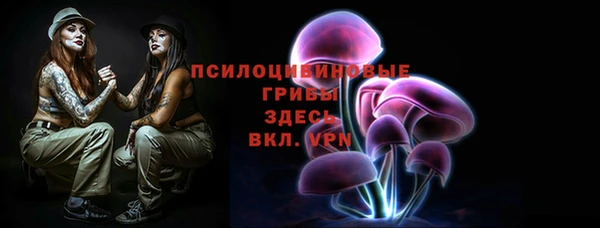 винт Алексеевка