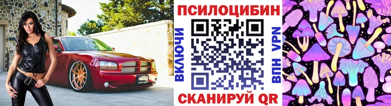 Псилоцибиновые грибы Psilocybine cubensis  купить  цена  Долинск 